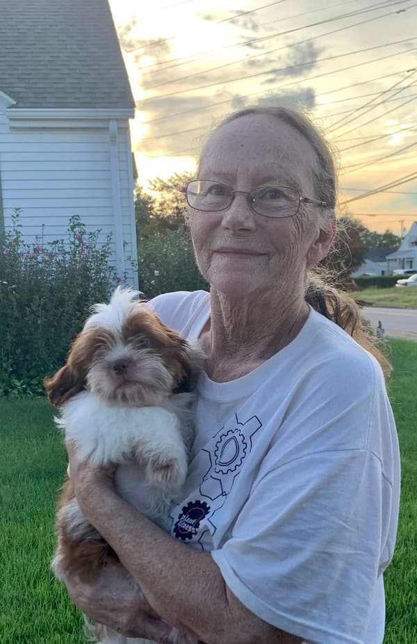 Customer photo of Shih Tzu puppy from Joan D.