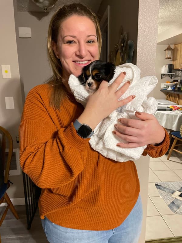Customer photo of Cavalier King Charles Spaniel puppy from Michelle E.