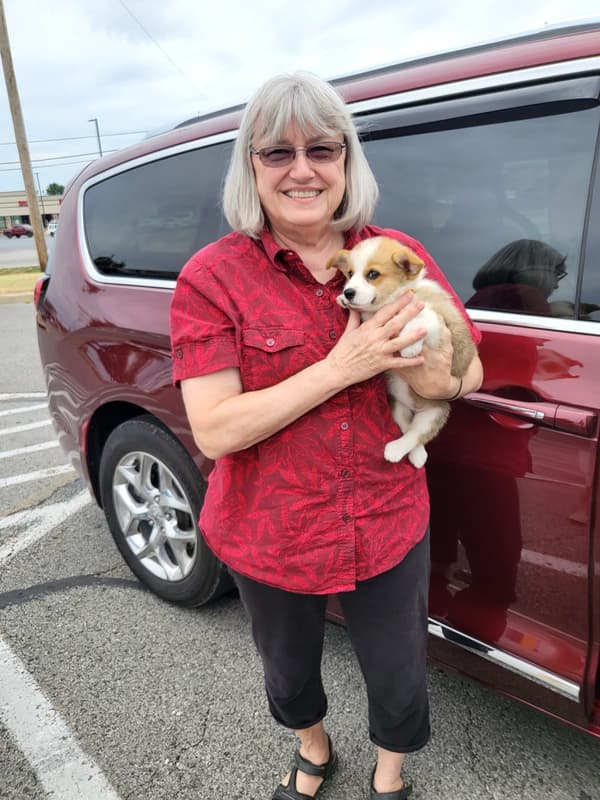 Customer photo of Corgi, Pembroke Welsh puppy from Maryanne R.