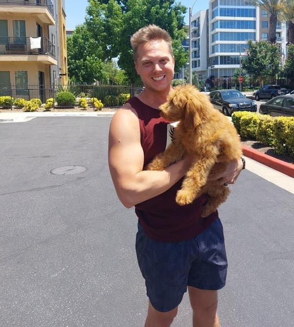 Customer photo of Goldendoodle puppy from Ryan M.