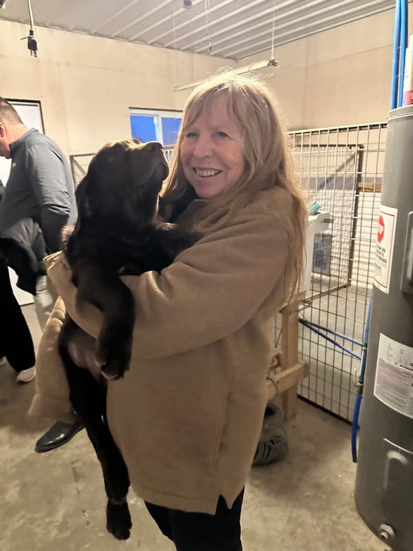 Customer photo of Labrador Retriever puppy from Ruthann L.