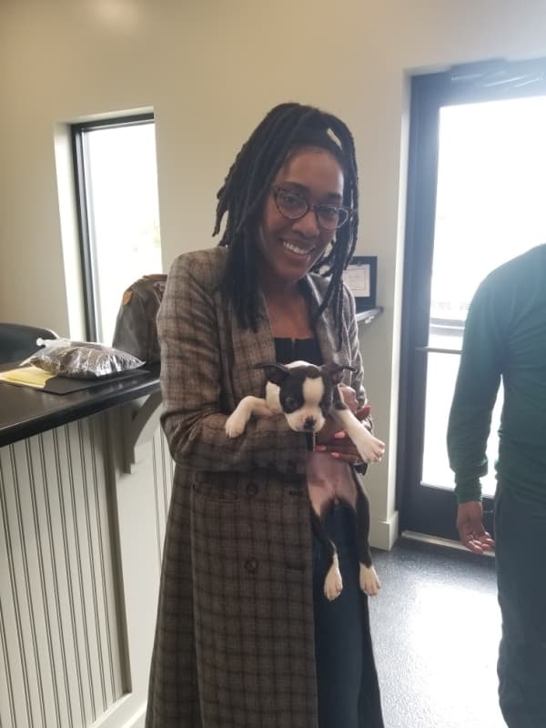 Customer photo of Boston Terrier puppy from Gigi G.