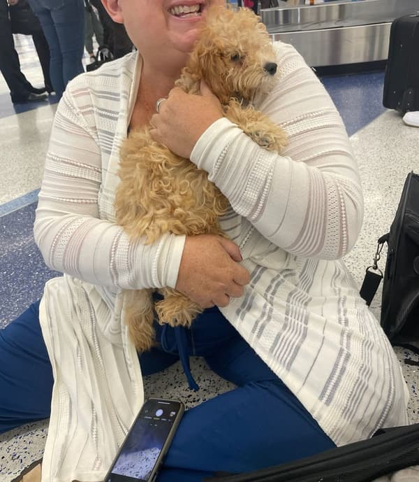Customer photo of Cavapoo puppy from Jennifer G. 