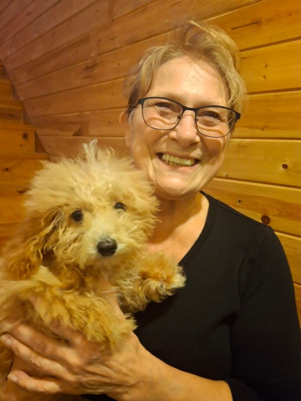 Customer photo of Poodle, Miniature puppy from Denise J.
