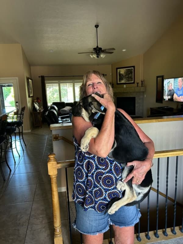 Customer photo of German Shepherd puppy from Sharon W.