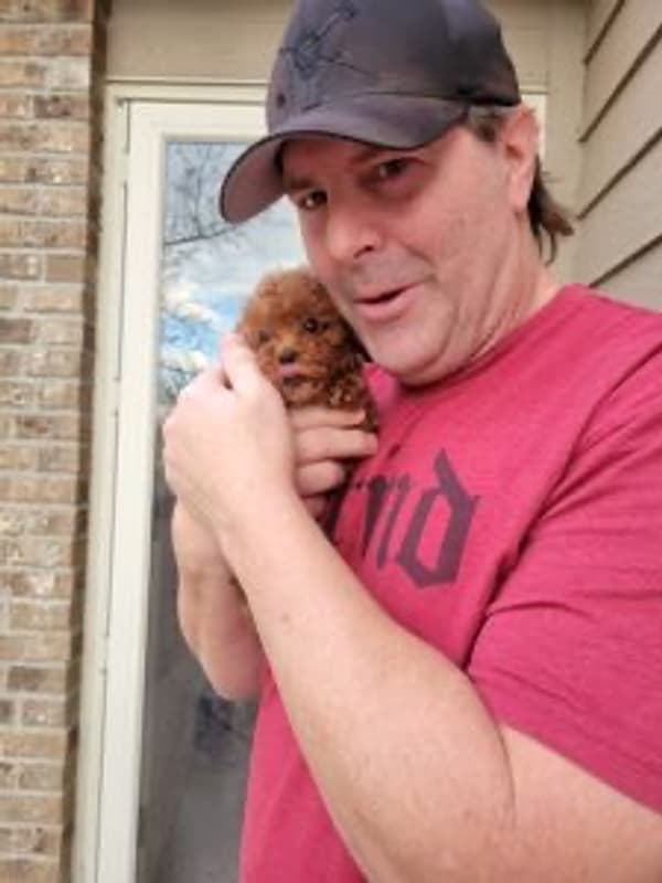 Customer photo of Poodle, Toy puppy from Jon S.