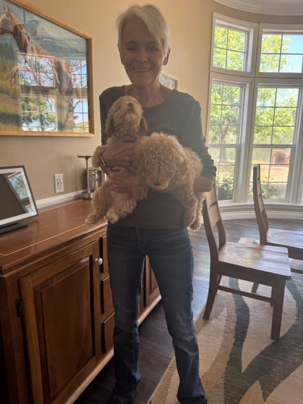 Customer photo of Goldendoodle, Mini puppy from Meredith A.