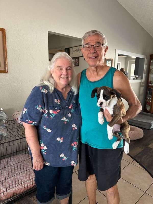 Customer photo of Boxer puppy from Leona P.