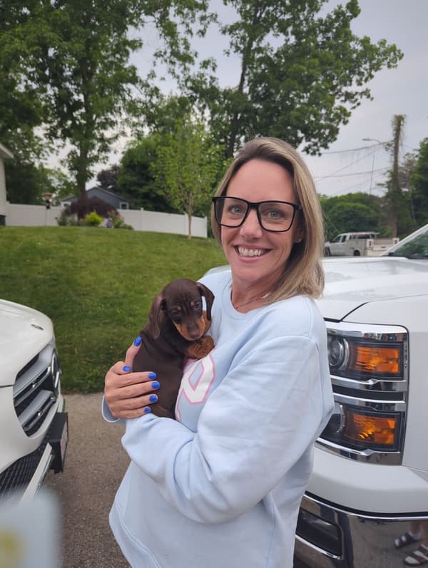 Customer photo of Dachshund, Mini puppy from Kate D.