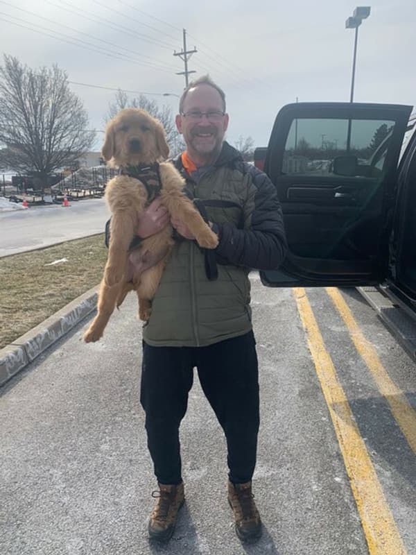 Customer photo of Golden Retriever puppy from Brian W.