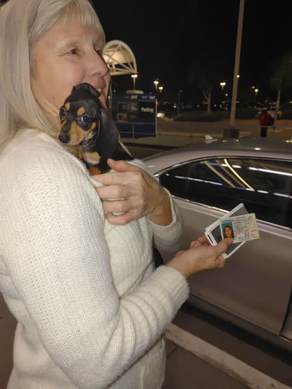 Customer photo of Dachshund, Mini puppy from Cynthia C.