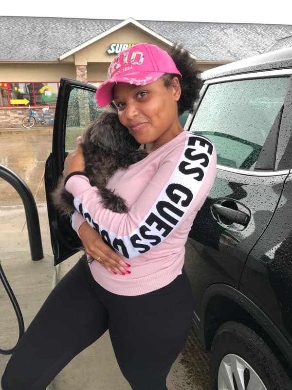 Customer photo of Schnoodle puppy from Danicca Carpenter 