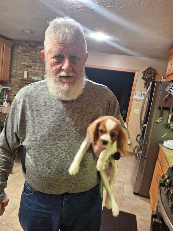 Customer photo of Cavalier King Charles Spaniel puppy from Mark B.