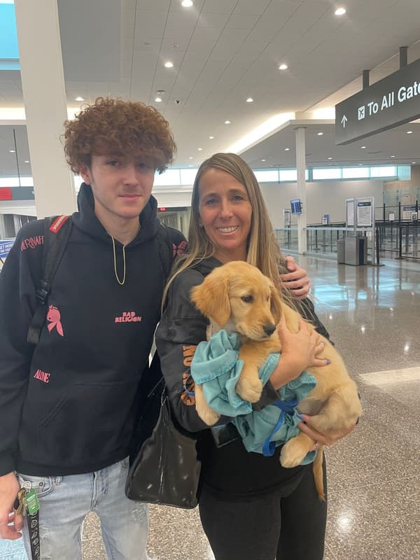 Customer photo of Golden Retriever puppy from Denise C.