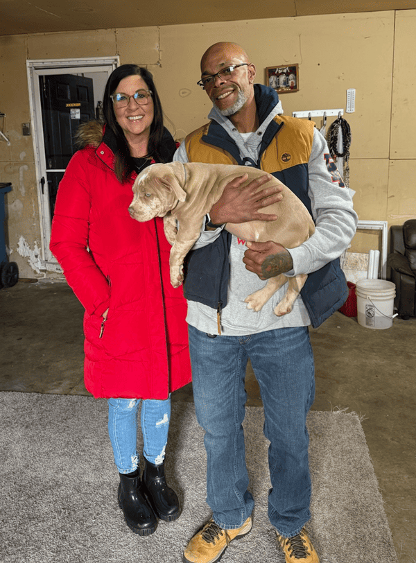 Customer photo of American Bully puppy from Shaff G.