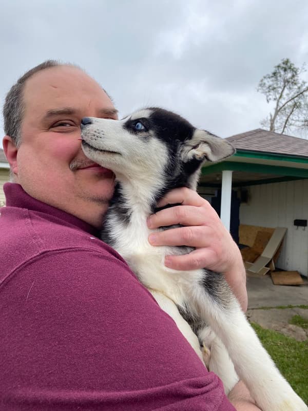 Customer photo of Siberian Husky puppy from William C.