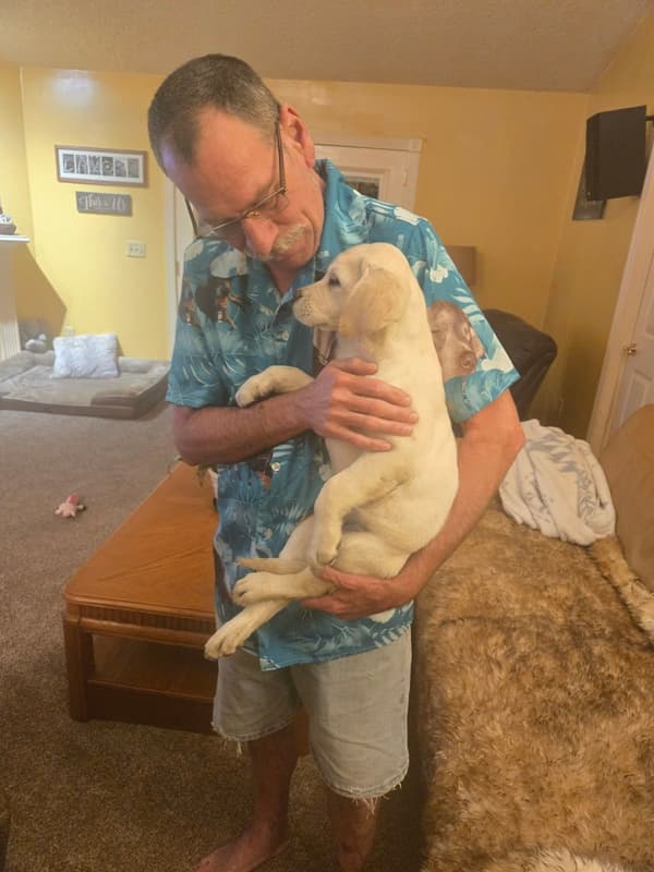 Customer photo of Labrador Retriever puppy from Daniel L.