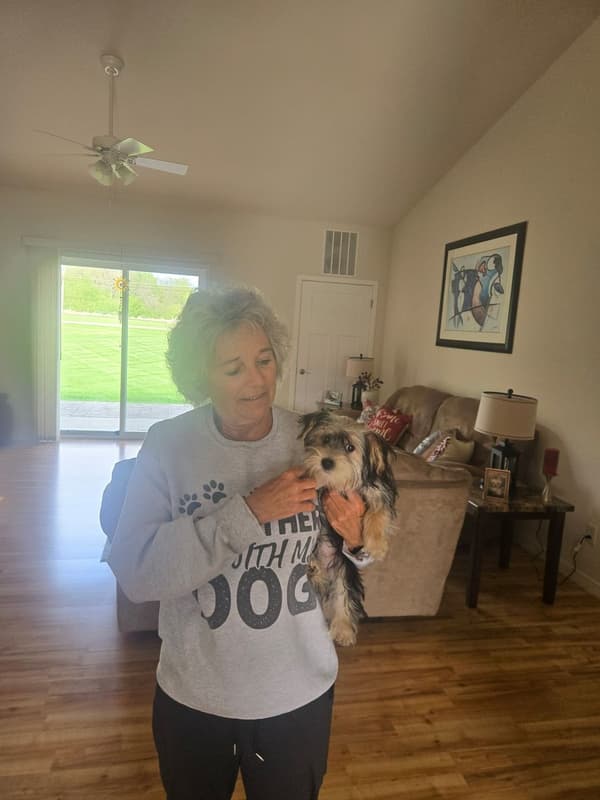 Customer photo of Morkie / Yorktese puppy from Cathy S.