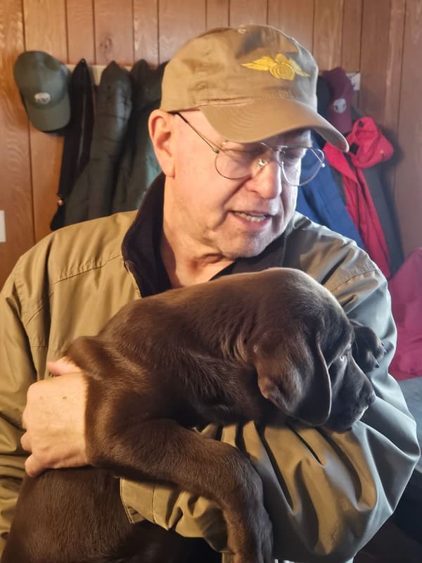 Customer photo of Labrador Retriever puppy from William K.