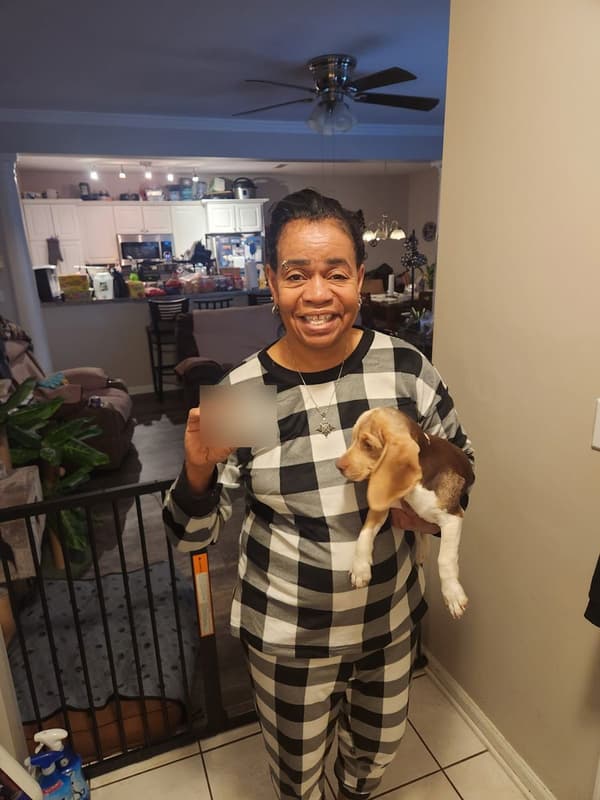 Customer photo of Beagle puppy from Dawn C.