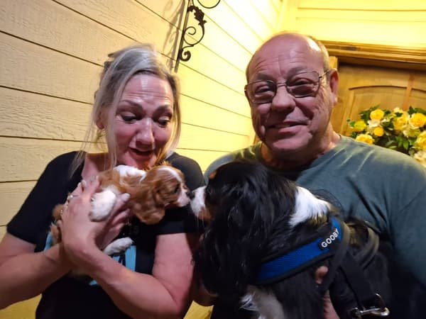 Customer photo of Cavalier King Charles Spaniel puppy from Cynthia B.