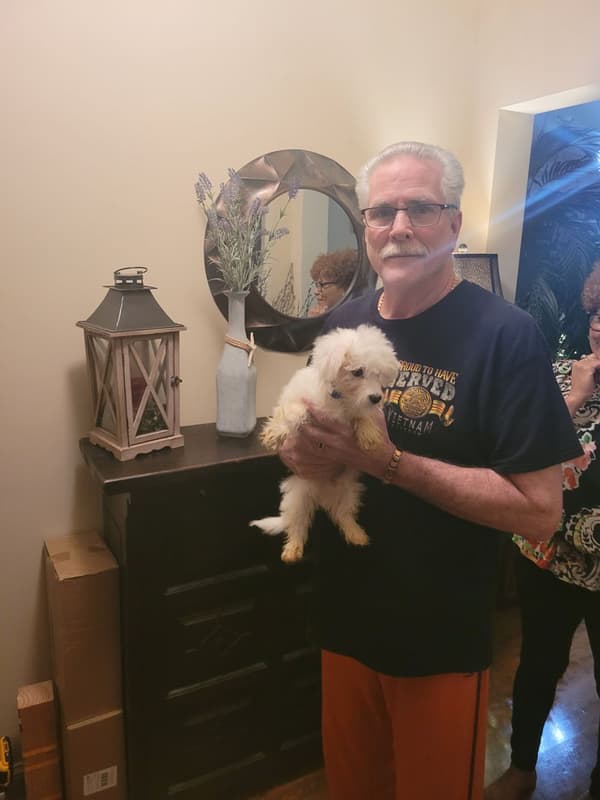 Customer photo of Coton De Tulear puppy from David J.