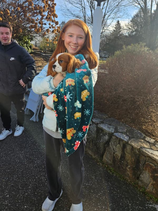 Customer photo of Cavalier King Charles Spaniel puppy from John W.