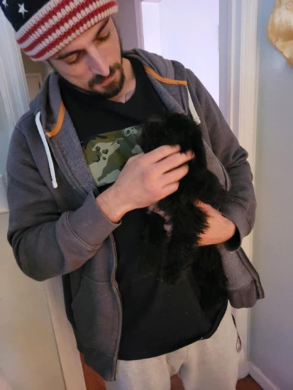 Customer photo of Mal-Shi - Malshi puppy from Cortney E.