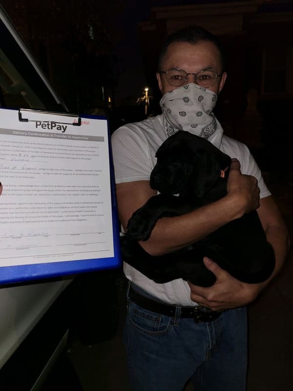 Customer photo of Cane Corso Mastiff puppy from Juan R.