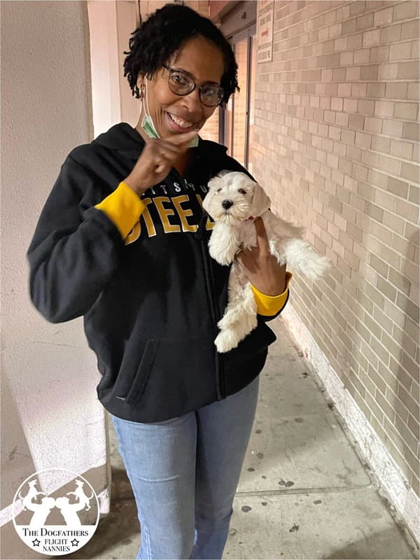 Customer photo of Schnauzer, Miniature puppy from Melanie W. 