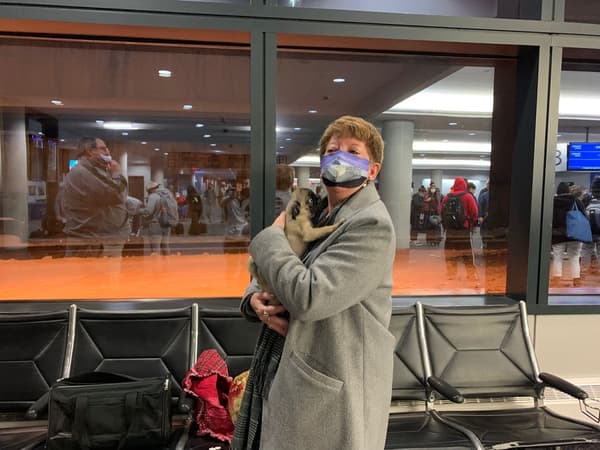 Customer photo of Pug puppy from Marcia D.