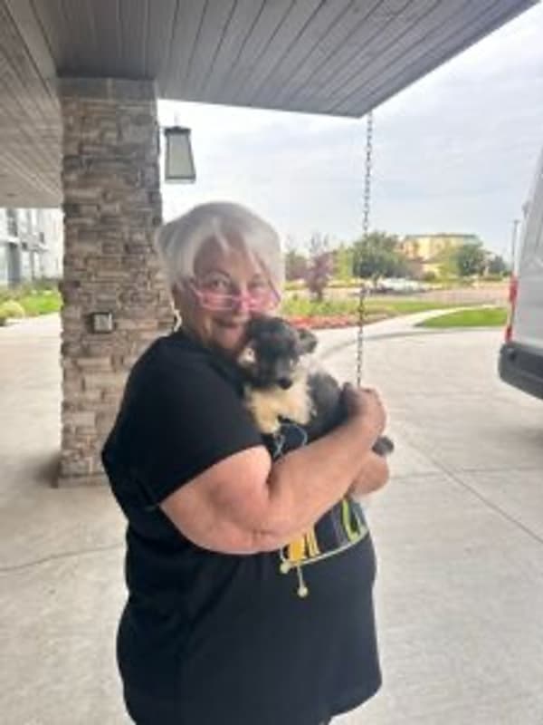 Customer photo of Schnauzer, Miniature puppy from Nancy J.