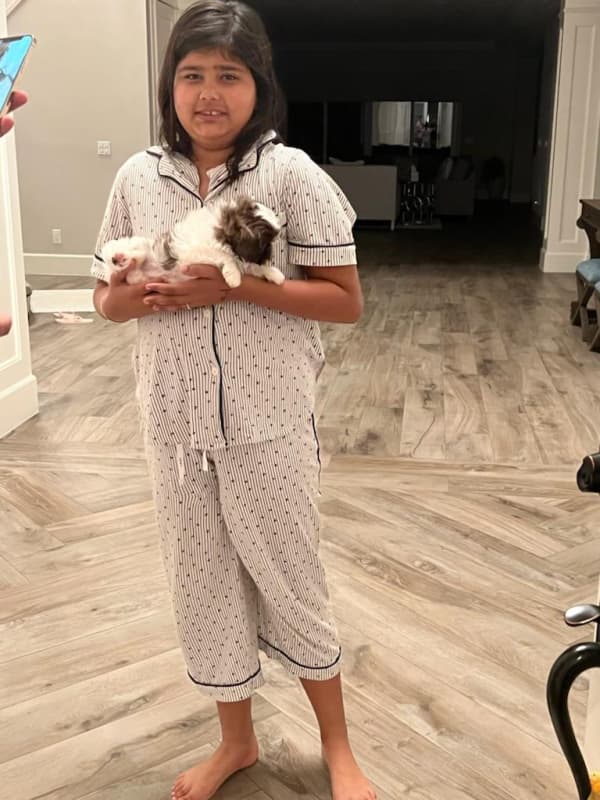 Customer photo of Shih Tzu puppy from Jobanjeet S. 