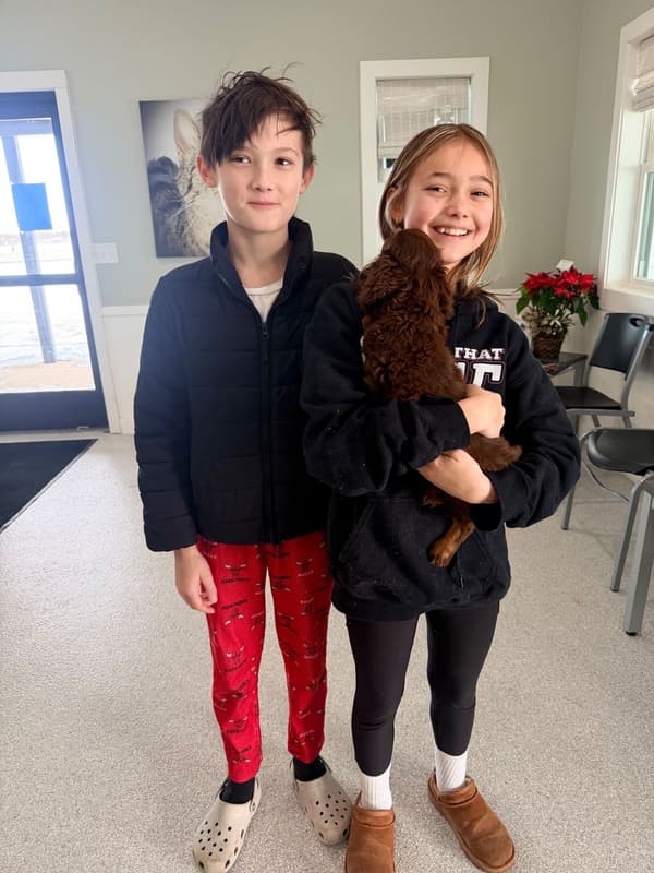 Customer photo of Dachshund, Mini puppy from Jacqueline P.