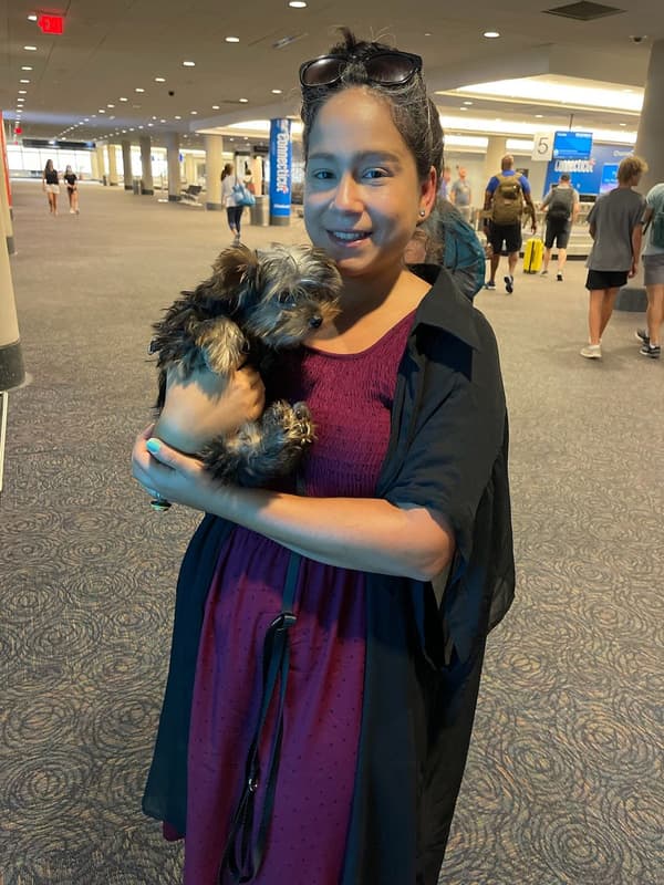 Customer photo of Yorkshire Terrier - Yorkie puppy from Jeanette A.