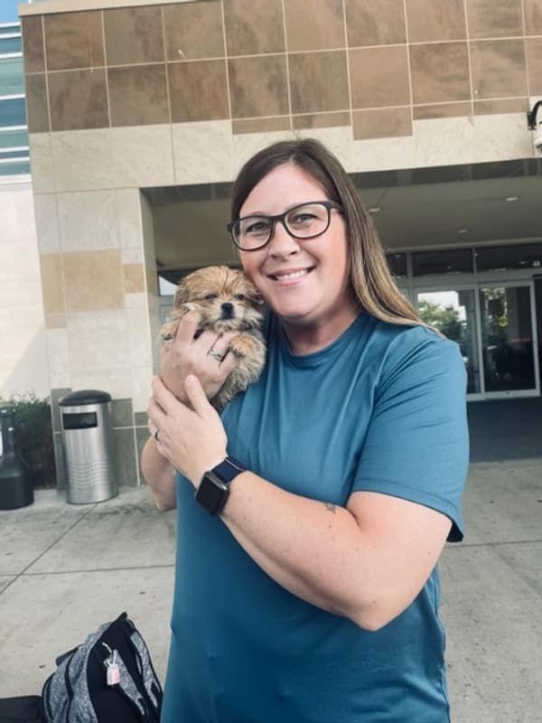 Customer photo of Shorkie puppy from Robert B. 