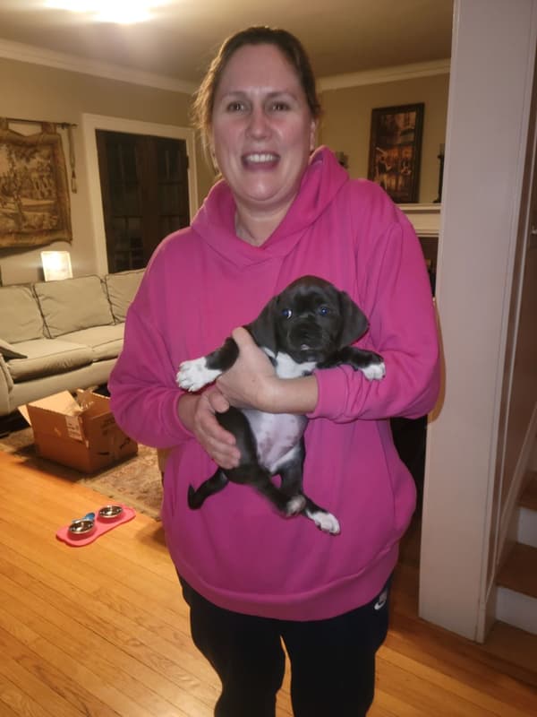 Customer photo of Puggle puppy from Amy T.