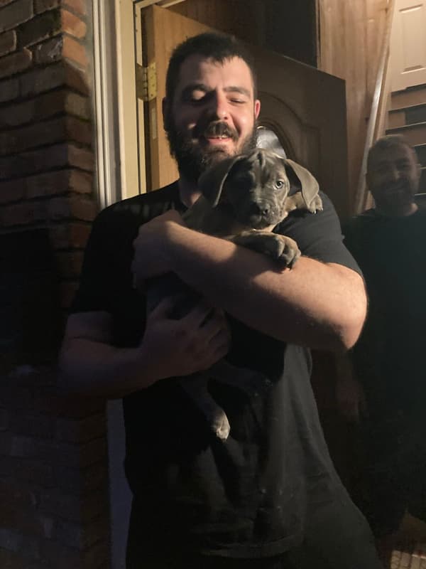 Customer photo of Cane Corso Mastiff puppy from Orhan M.
