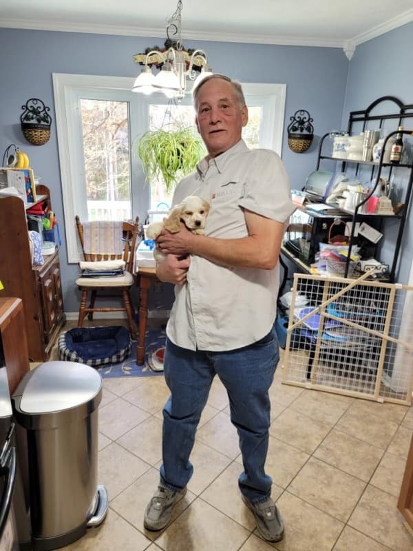 Customer photo of Cocker Spaniel puppy from Jeff R. 