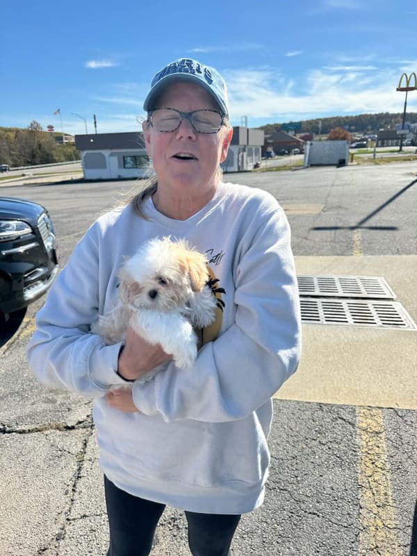 Customer photo of Shih Tzu puppy from Stacye S.