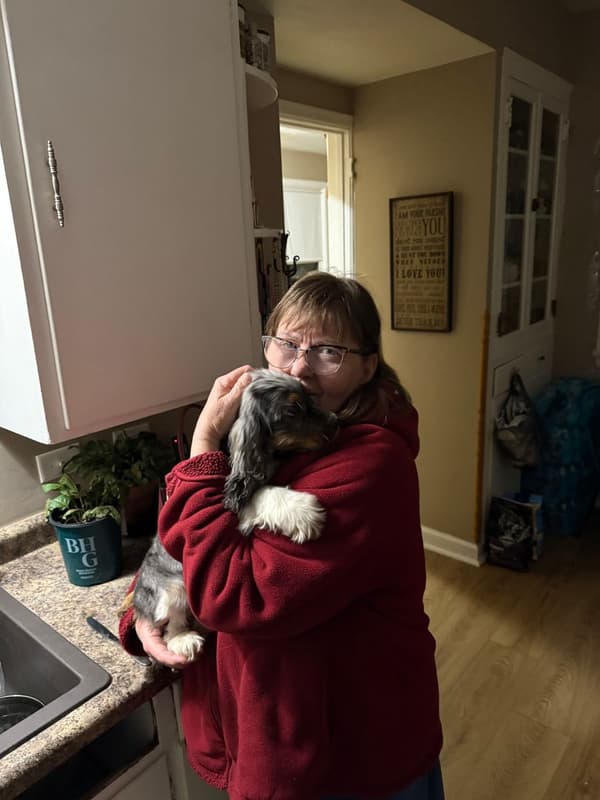 Customer photo of Cocker Spaniel puppy from Sharon K.