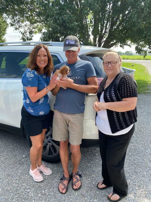 Customer photo of Cavalier King Charles Spaniel puppy from Cara N.