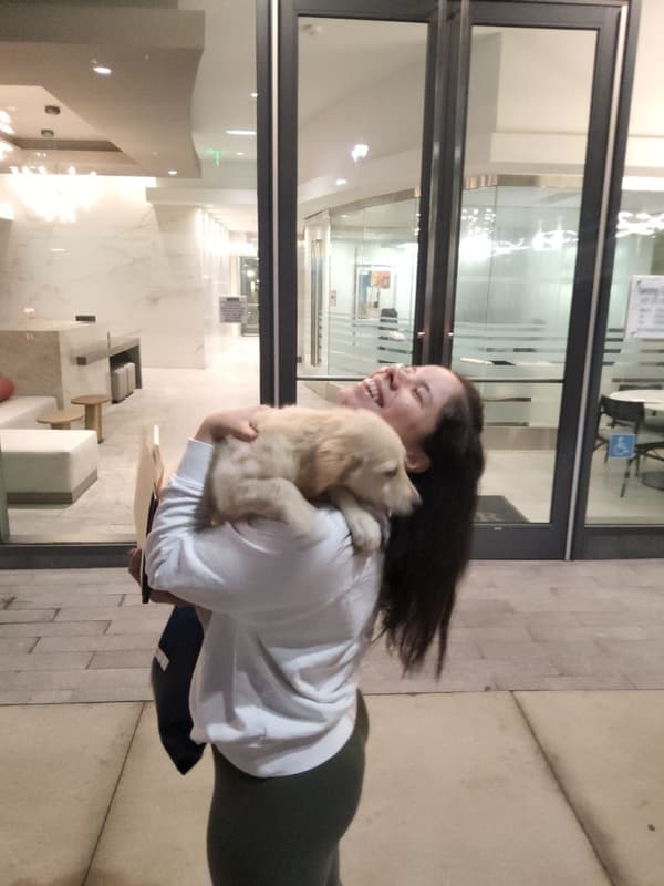 Customer photo of Goldendoodle puppy from Monica N.
