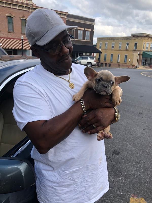 Customer photo of French Bulldog puppy from Priscilla R.