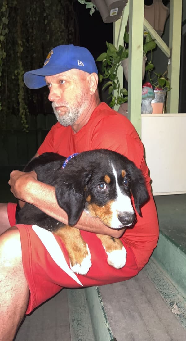 Customer photo of Bernese Mountain Dog puppy from William B.