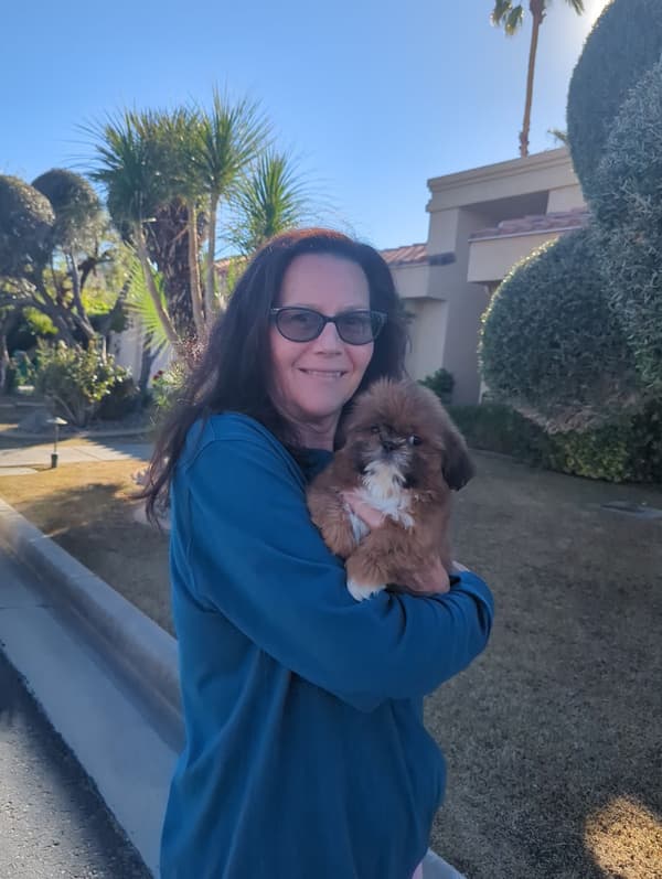 Customer photo of Shih Tzu puppy from Deborah F.