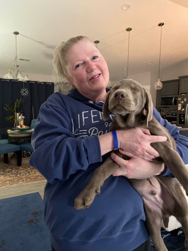 Customer photo of Labrador Retriever puppy from Andrea H.