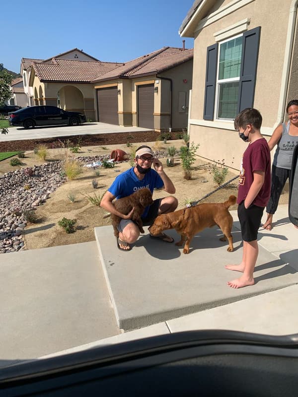 Customer photo of Labradoodle puppy from James C.