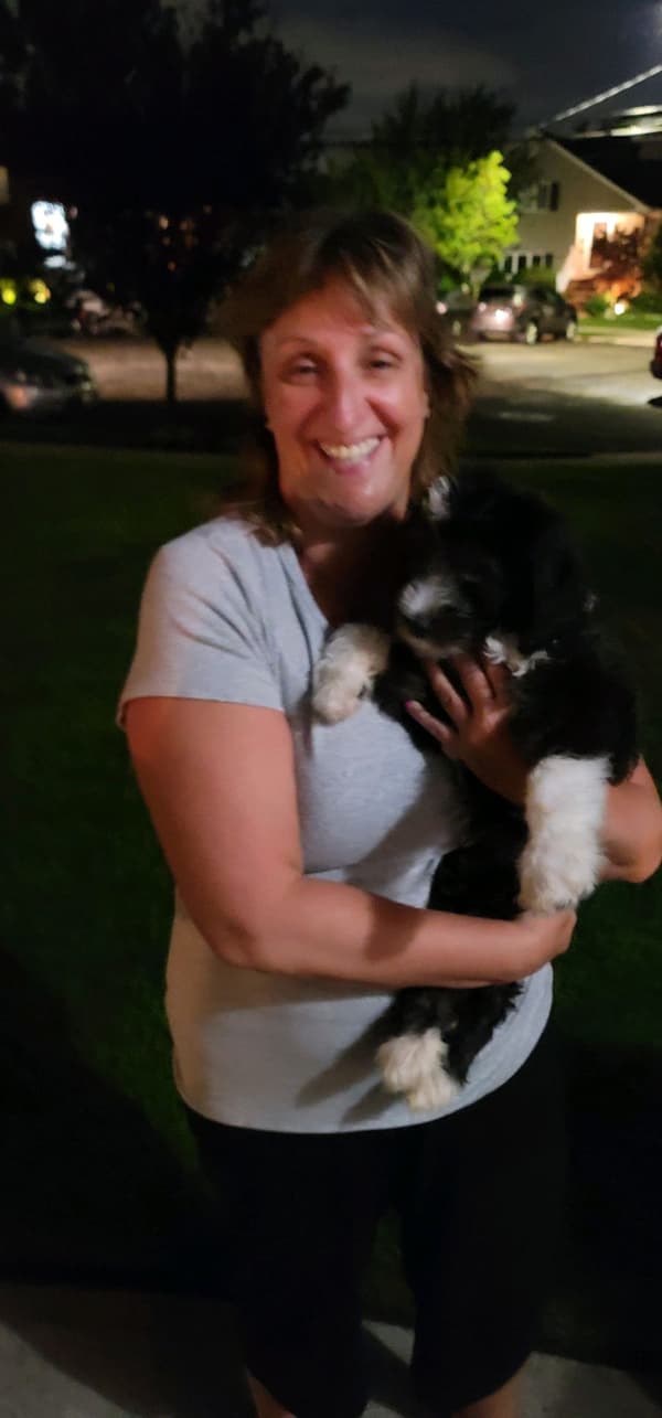 Customer photo of Sheepadoodle puppy from Michelle V.