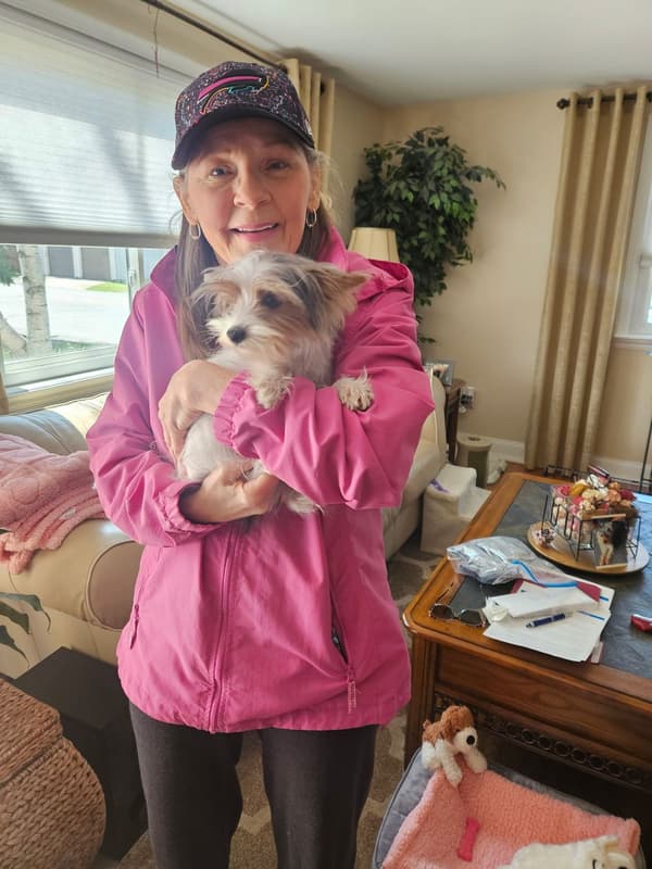 Customer photo of Yorkshire Terrier - Yorkie puppy from Beth D.